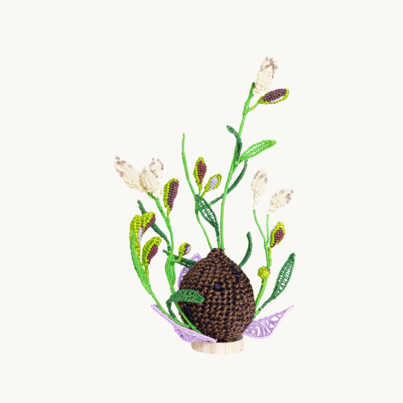 Citron Noir Pistache